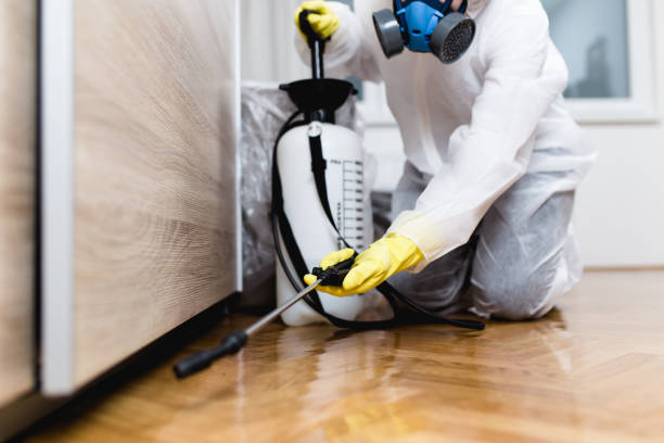 Best Mosquito Control Services  in Moore Haven, FL