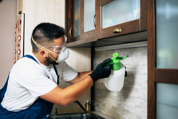 Best Termite Control Services  in Moore Haven, FL
