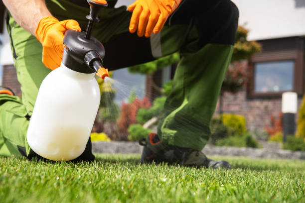 Best Spider Control Near Me  in Moore Haven, FL