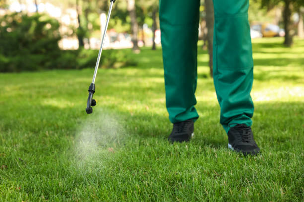Best Pest Removal Services  in Moore Haven, FL