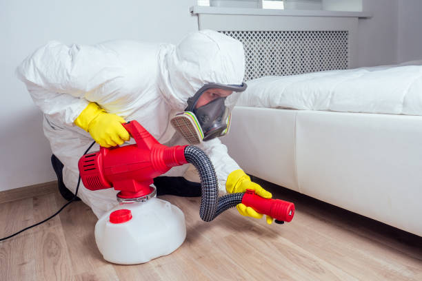 Best Affordable Pest Control Services  in Moore Haven, FL