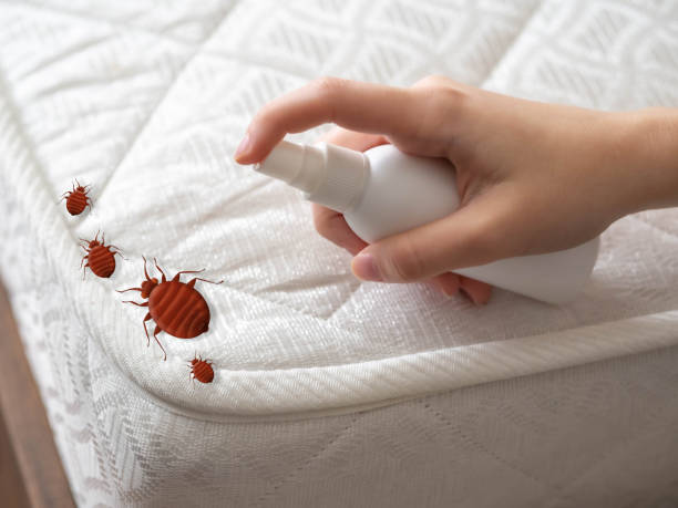 Pest Control for Restaurants in Moore Haven, FL
