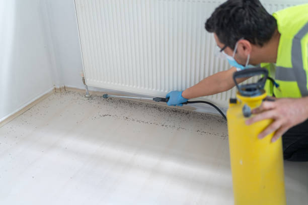 Best Cockroach Control Services  in Moore Haven, FL